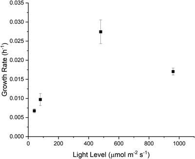 Probing Light-Dependent Regulation of the Calvin Cycle Using a Multi-Omics Approach